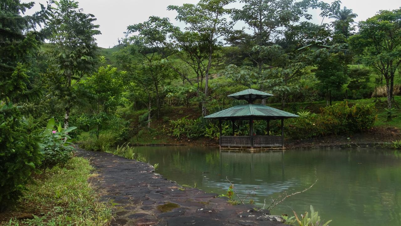Malekus Mountain Lodge Aguas Claras  Luaran gambar