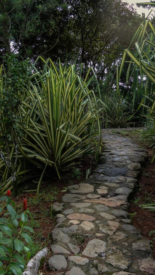 Malekus Mountain Lodge Aguas Claras  Luaran gambar