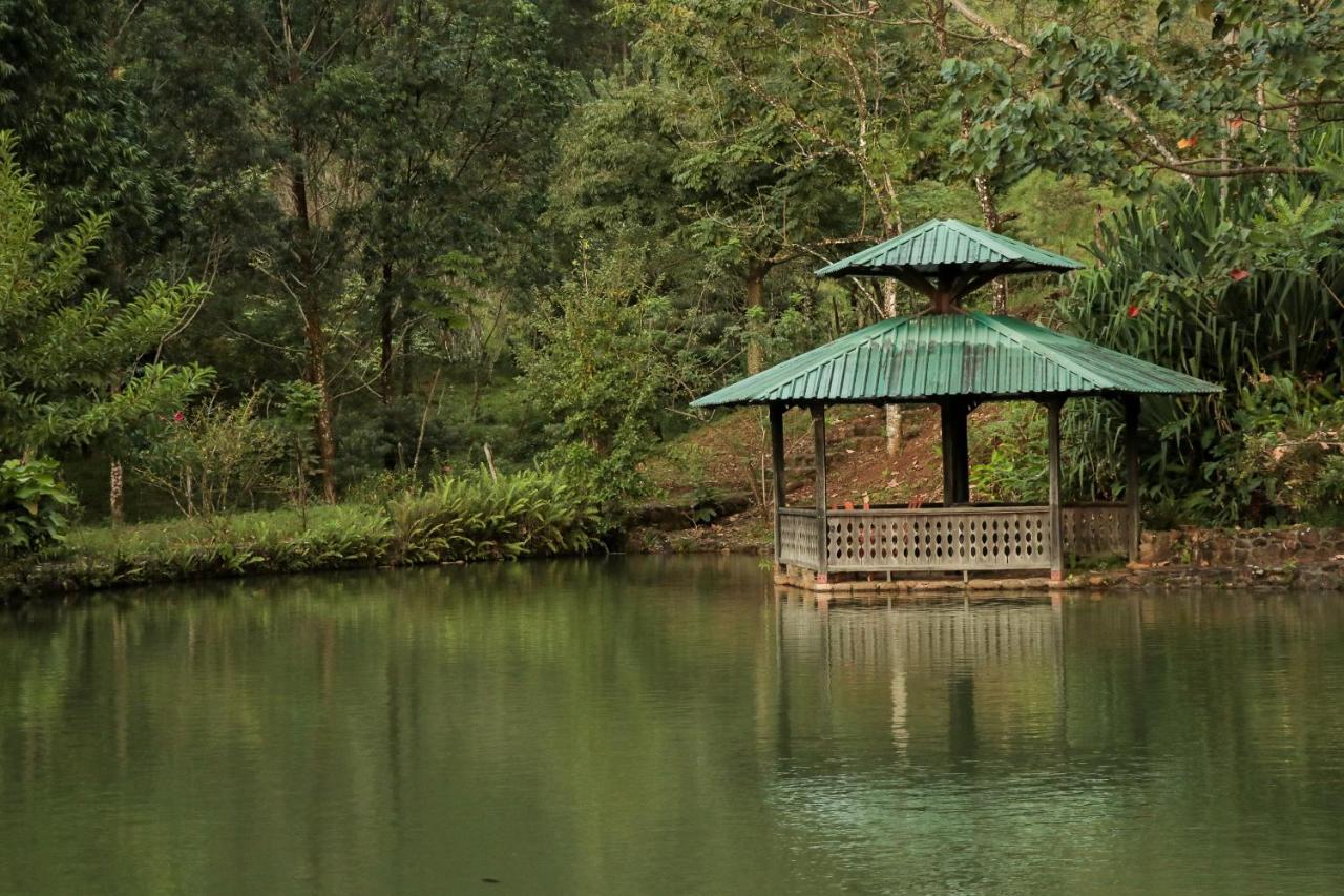 Malekus Mountain Lodge Aguas Claras  Luaran gambar